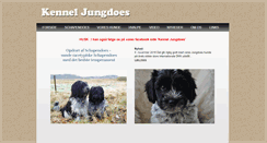 Desktop Screenshot of jungdoes.dk